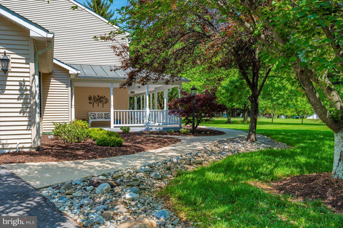 8412 Dasher Court Gaithersburg, MD 20882 - Photo 77 of 83 a view of a yard in front of a house with plants and large trees