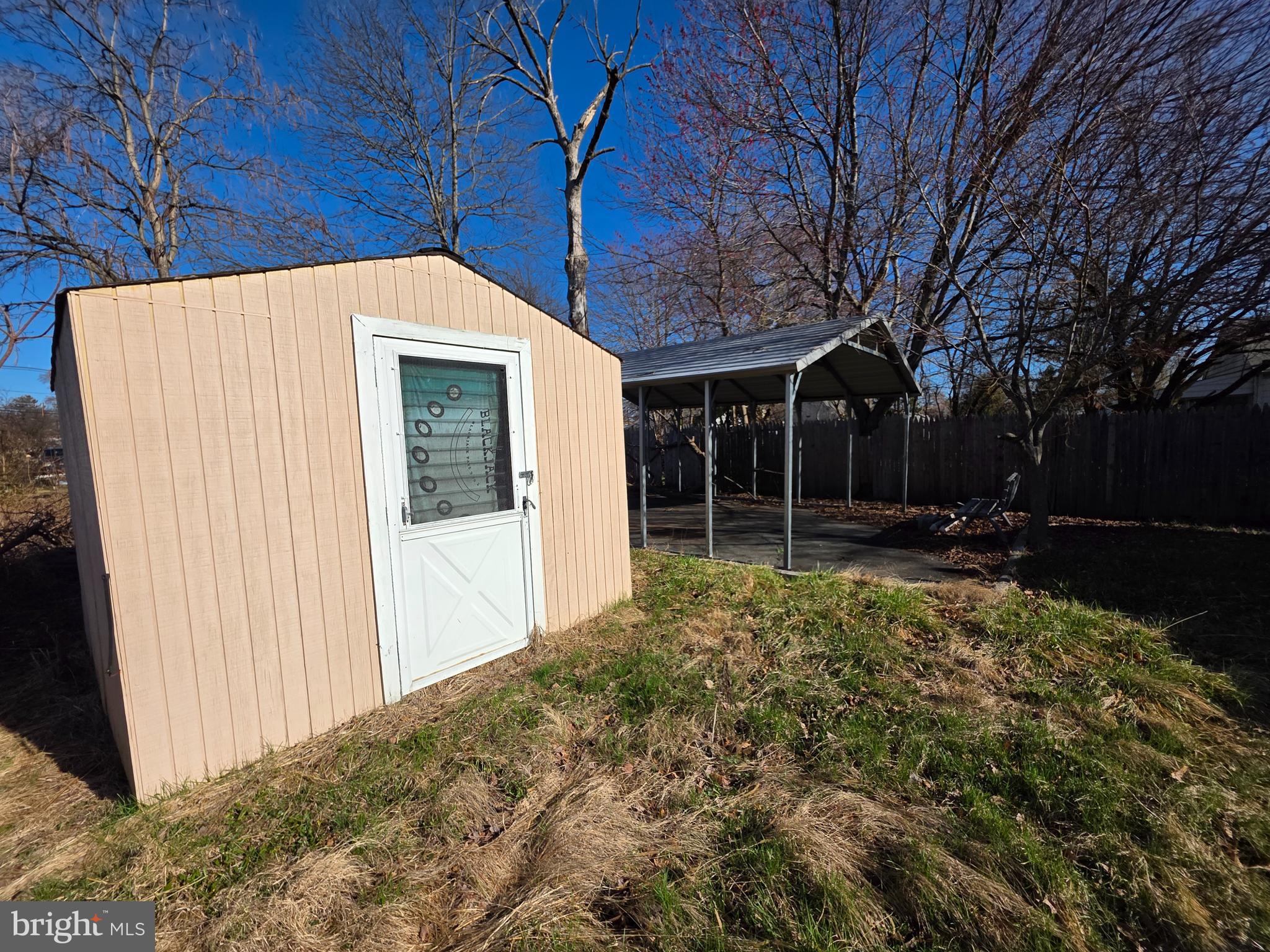 1625 5th Street Ewing, NJ 08638 - Photo 3 of 16 a view of backyard with large trees