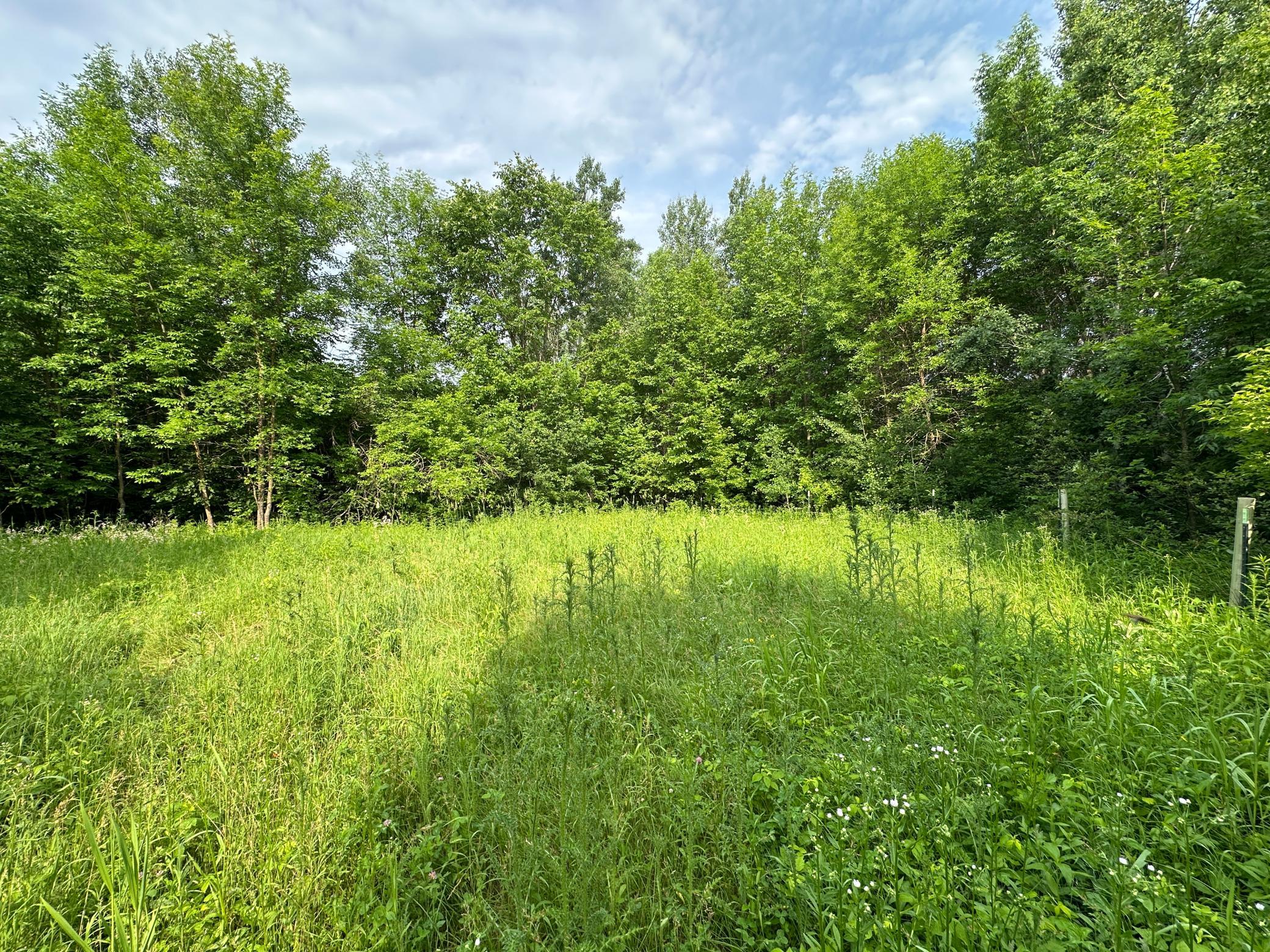 38953 Ada Beach Road Ponsford, MN 56575 - Photo 25 of 94