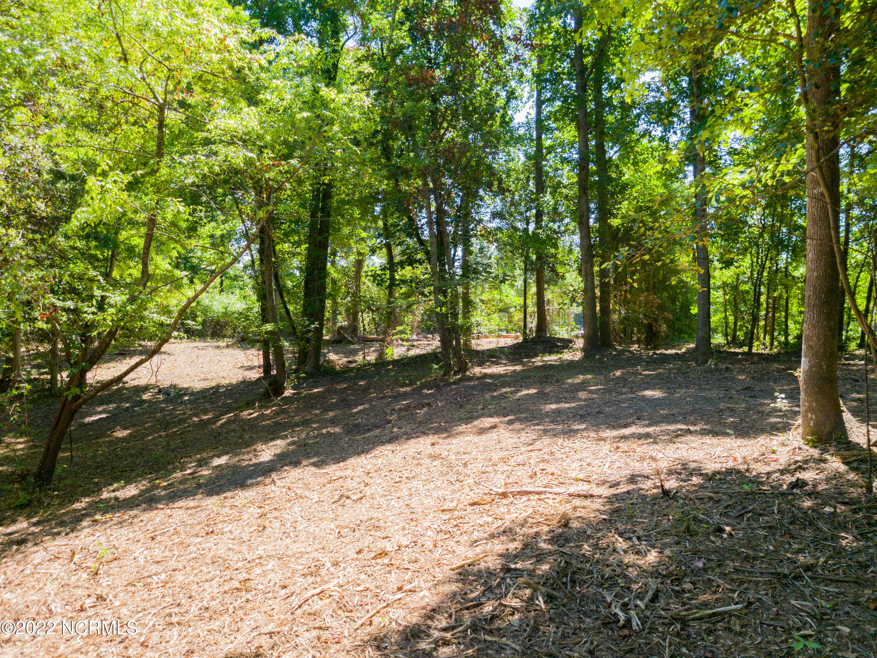 35 Treasure Point Road Bath, NC 27808 - Photo 11 of 15 20220818_121434a