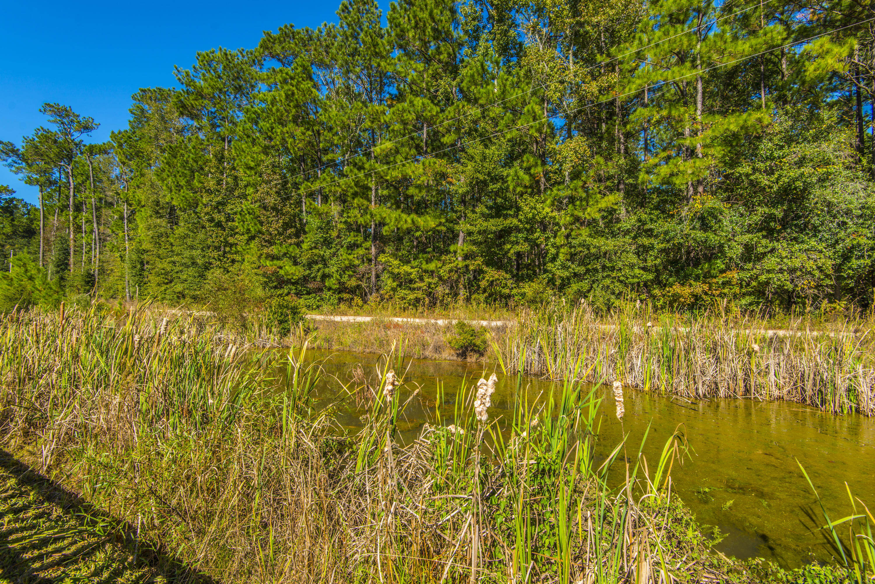 3043 Gulfstream Lane Ridgeville, SC 29472 - Photo 45 of 45 Canal Easement Behind Lot