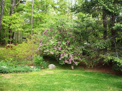 361 Harwich Road Brewster, MA 02631 - Photo 12 of 12 Additional Photo