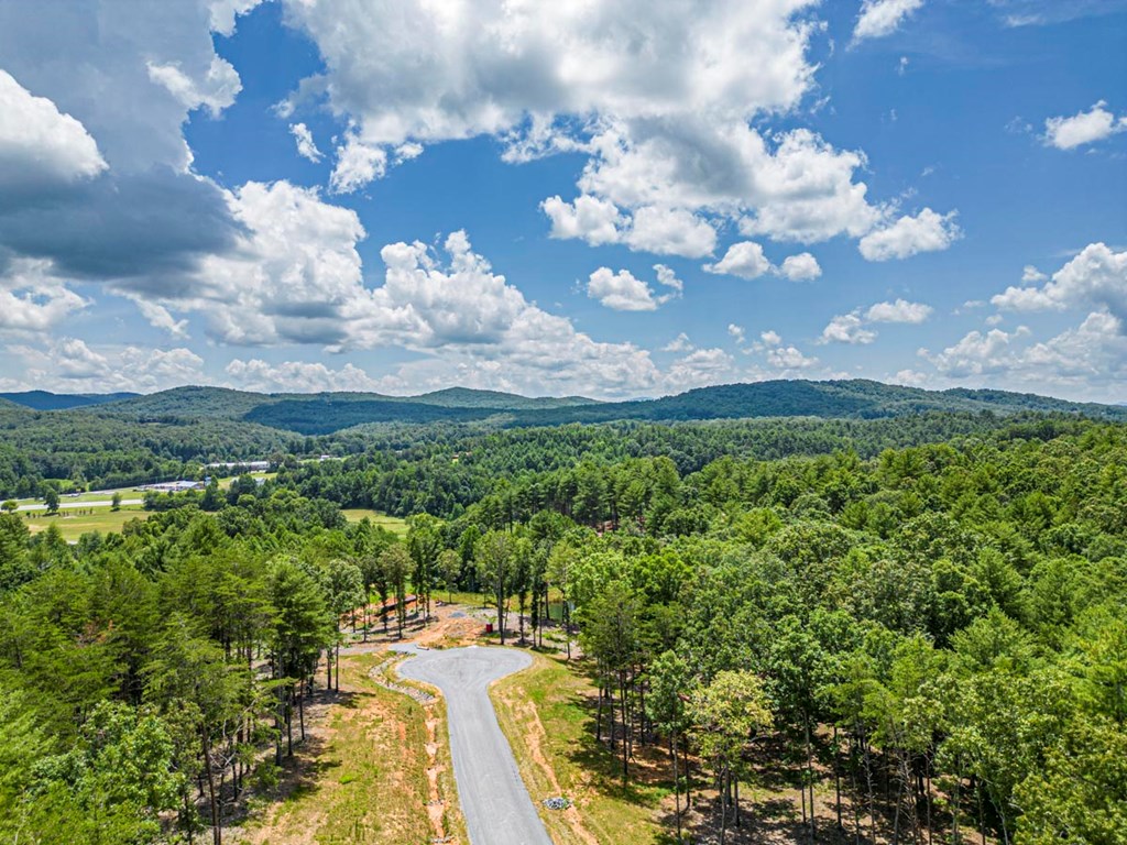151 The Ridges Morganton, GA 30560 - Photo 30 of 35 Home has since been built in the cul-de-sac