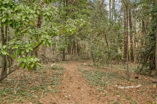 a view of a yard with plants and tree