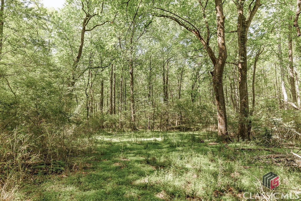 2900 Colham Ferry Road Watkinsville, GA 30677 - Photo 54 of 65