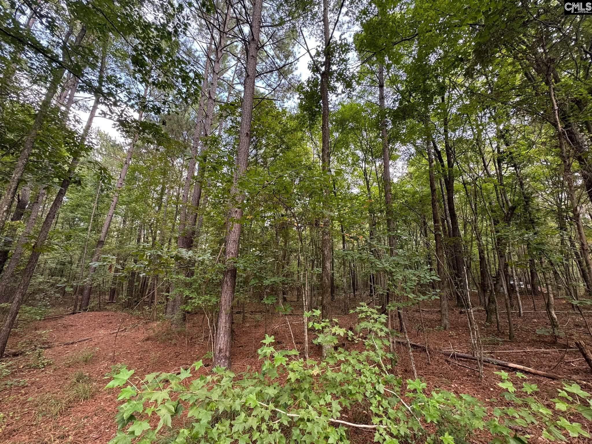 Pencreek Road Johnston, SC 29832 - Photo 14 of 59 Gallery Image 14