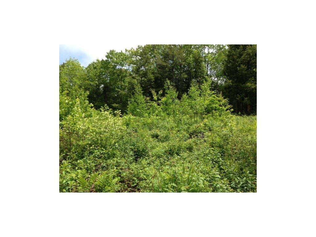 Lot 9 Old Stage Road Woolwich, ME 04579 - Photo 8 of 13 Photo