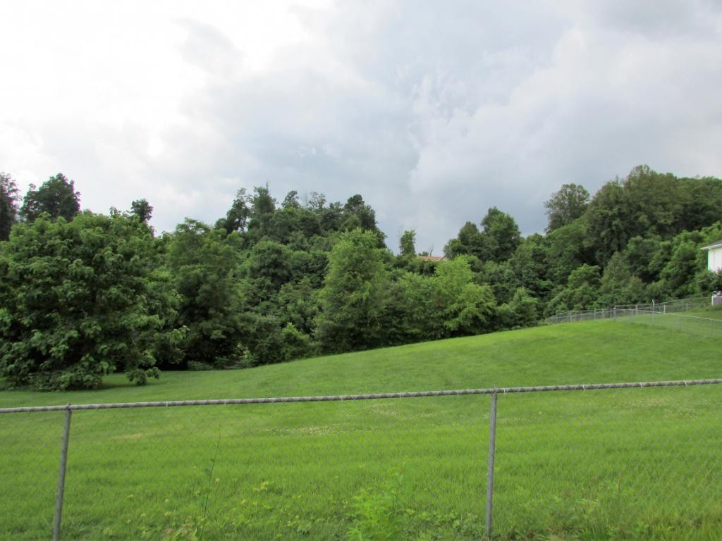 Tbd Ranger Drive Elizabethton, TN 37643 - Photo 4 of 10 Photo 4