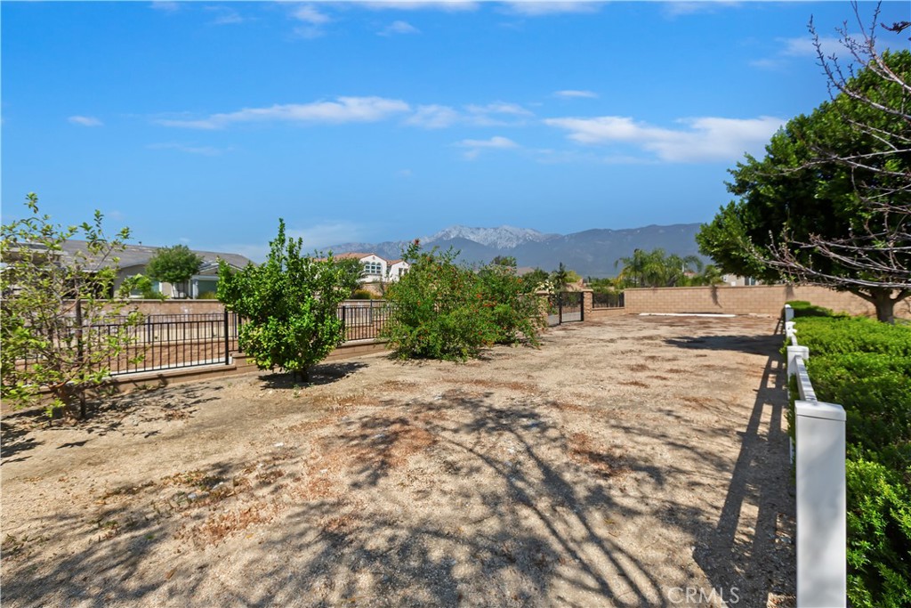 6336 Sloane Court Rancho Cucamonga, CA 91739 - Photo 53 of 69 a view of a yard with an trees
