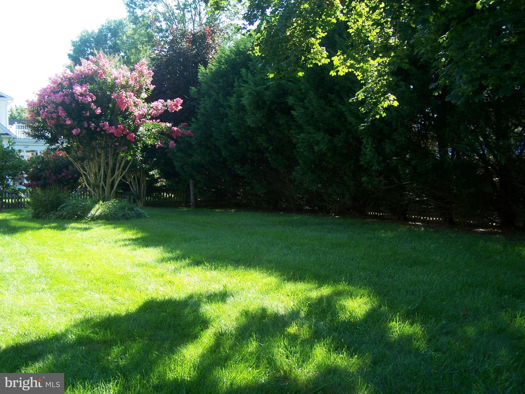 6 Suffolk Road Rehoboth Beach, DE 19971 - Photo 2 of 21 Exterior (Rear)