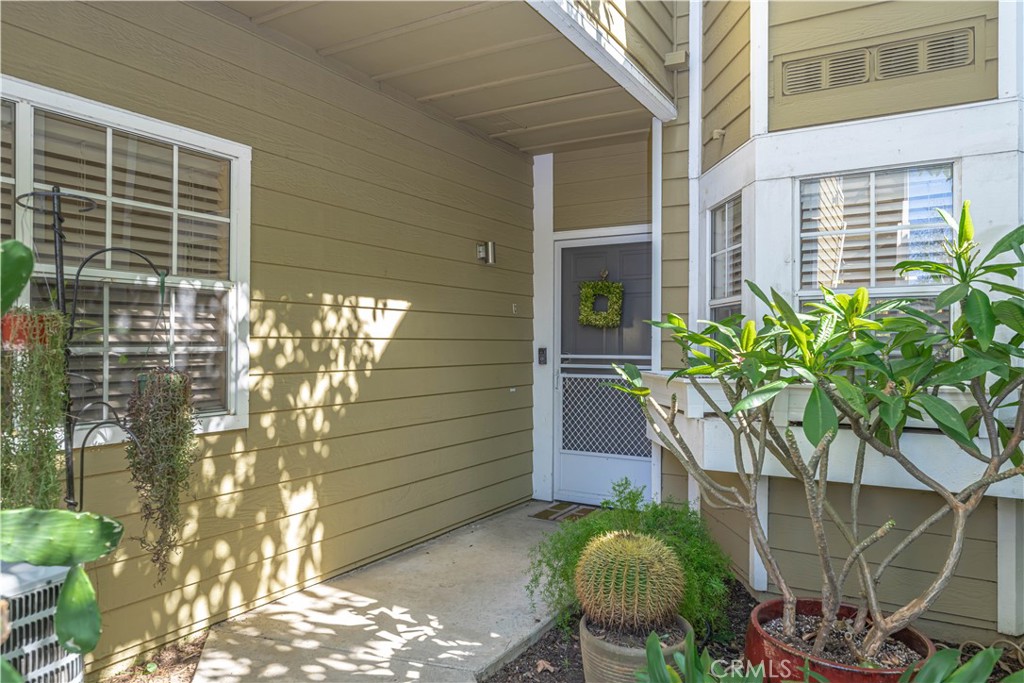 3730 South Bear Street, Unit E Santa Ana, CA 92704 - Photo 23 of 43 a potted plant sitting in front of a house