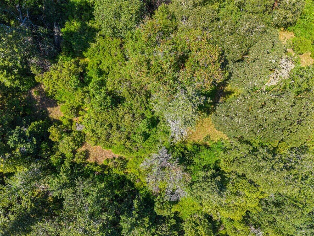 C Bear Canyon Road Garberville, CA 95542 - Photo 29 of 43 38-DJI_20260529151116_0734_D_1