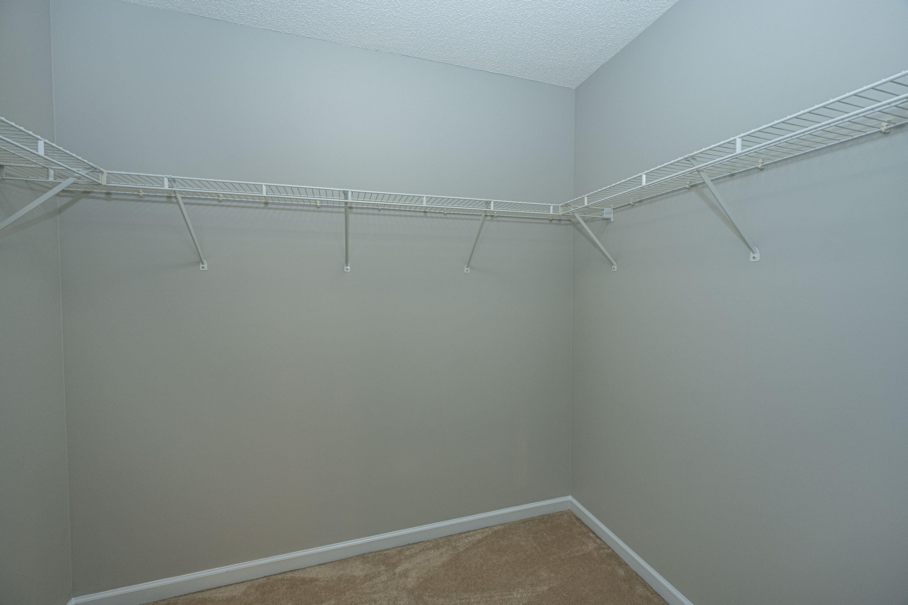 500 Yellow Hawthorn Circle Summerville, SC 29483 - Photo 29 of 33 500YellowHawthornCir31