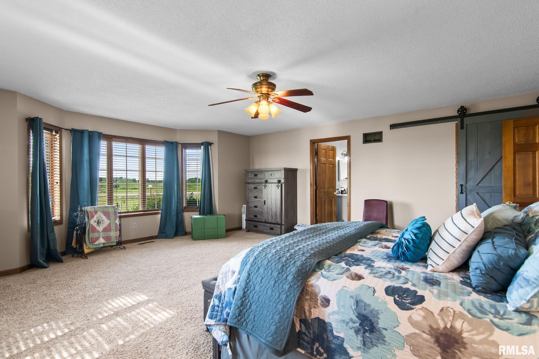 4489 Palmyra Road Palmyra, IL 62674 - Photo 26 of 52