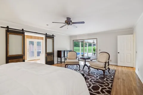 a view of a park with a tree