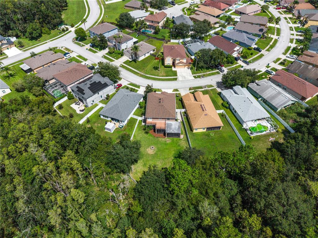 4522 Mapletree Loop Wesley Chapel, FL 33544 - Photo 77 of 82 Gallery Image 77