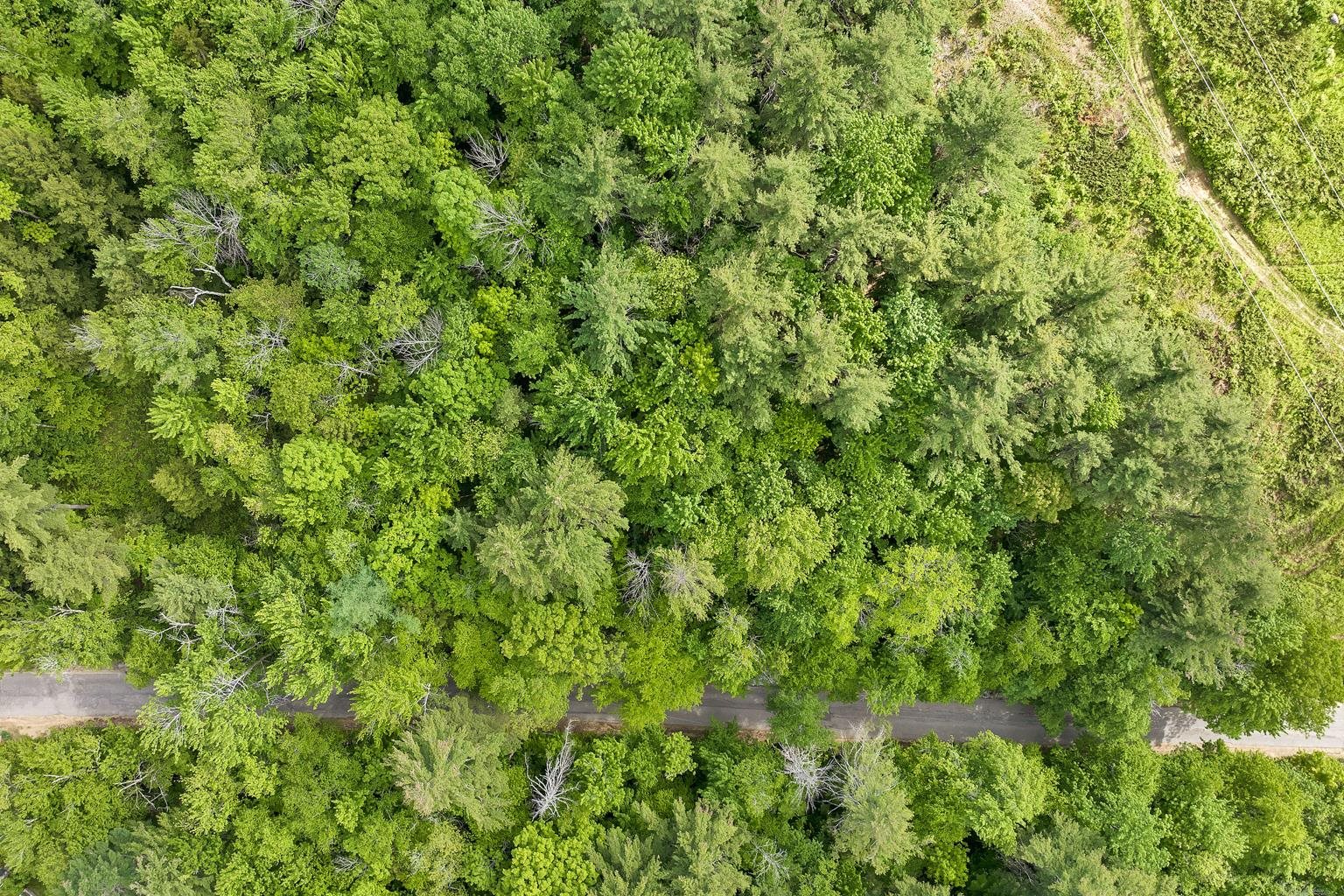 Murray Hill Rd Hill Hill, NH 03243 - Photo 13 of 13