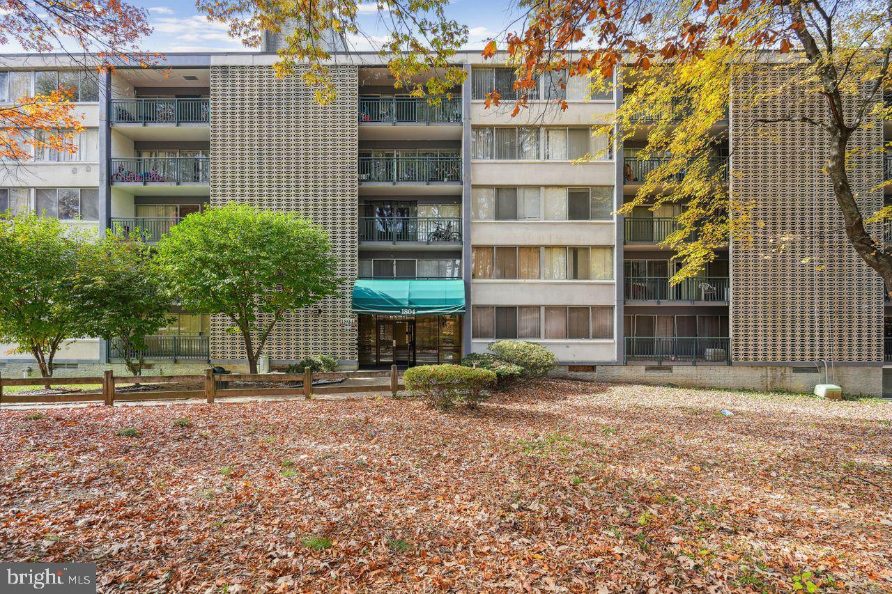 1804 Metzerott Road, Unit 303 Hyattsville, MD 20783 - Photo 12 of 13 a backyard of a building and trees