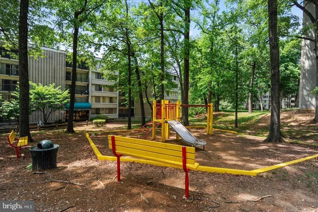 a view of a park with large trees and a bench