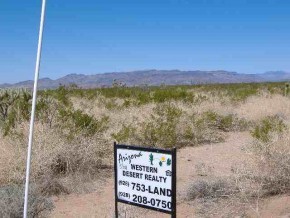 Custer Road Yucca, AZ 86438 - Photo 1 of 4 Primary Photo