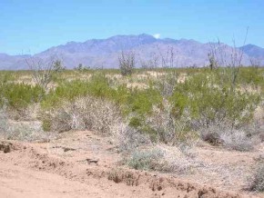 Custer Road Yucca, AZ 86438 - Photo 4 of 4 Additional Photo