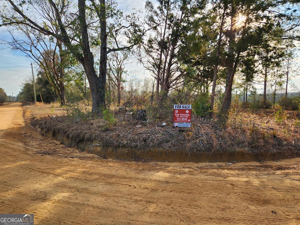 0 Currie Rd & Henry Wolfe Road Uvalda, GA 30473 - Photo 1 of 1 Main View