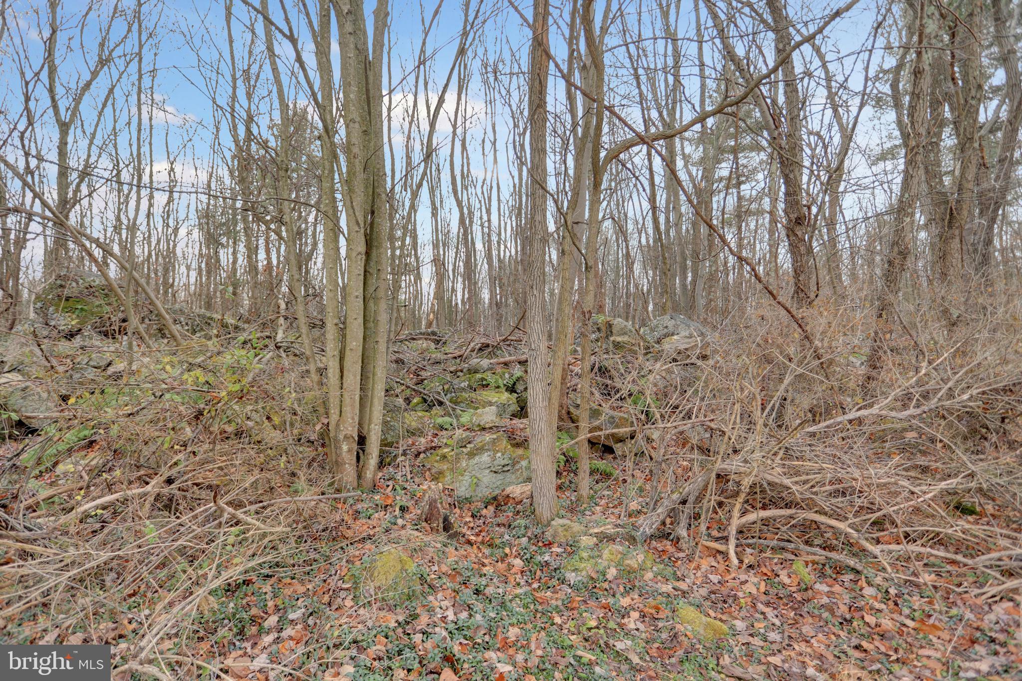 301 Hickory Ridge Road Newport, PA 17074 - Photo 26 of 57 Gallery Image 26