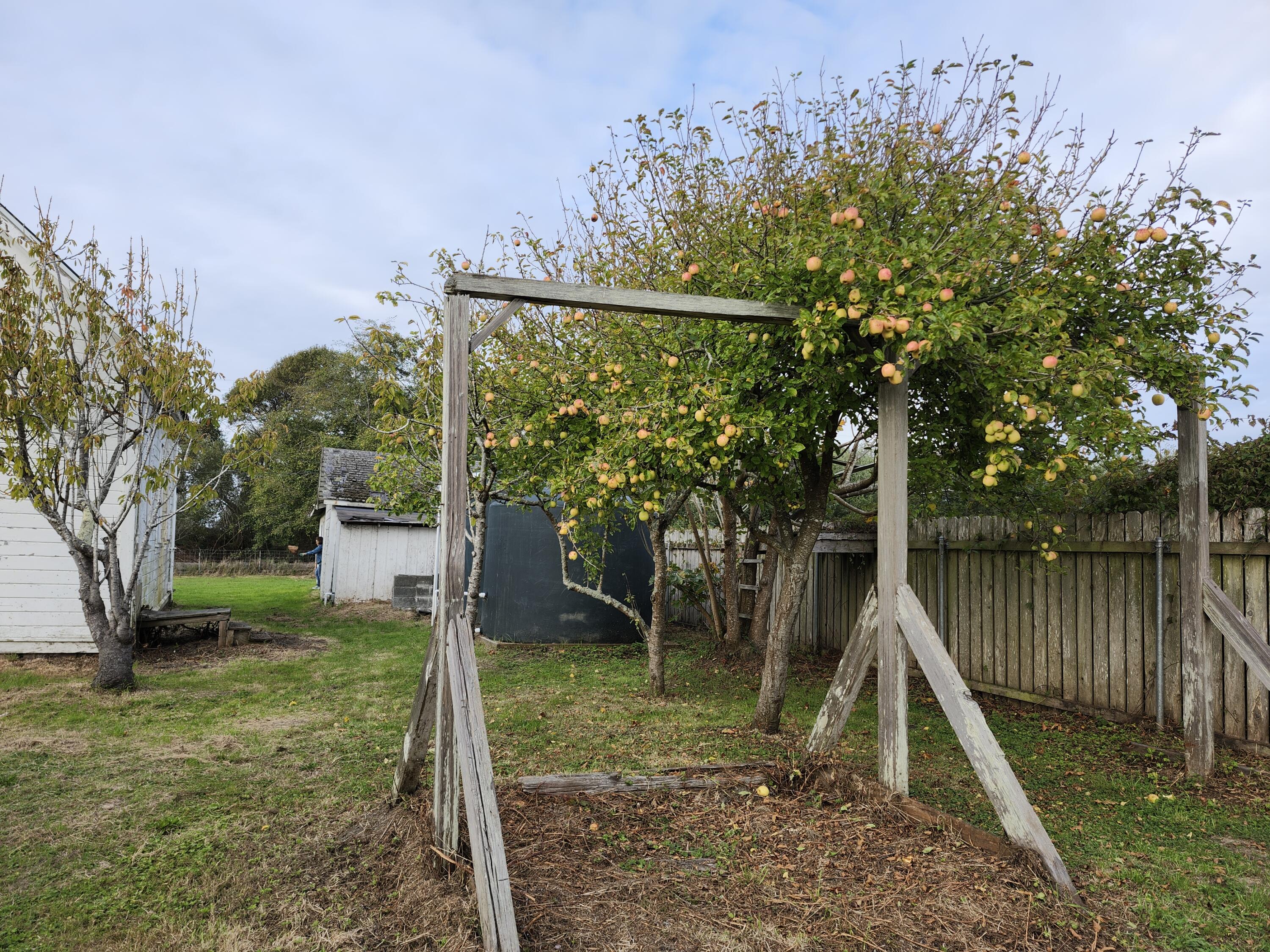 1212 Mad River Road Arcata, CA 95521 - Photo 26 of 46