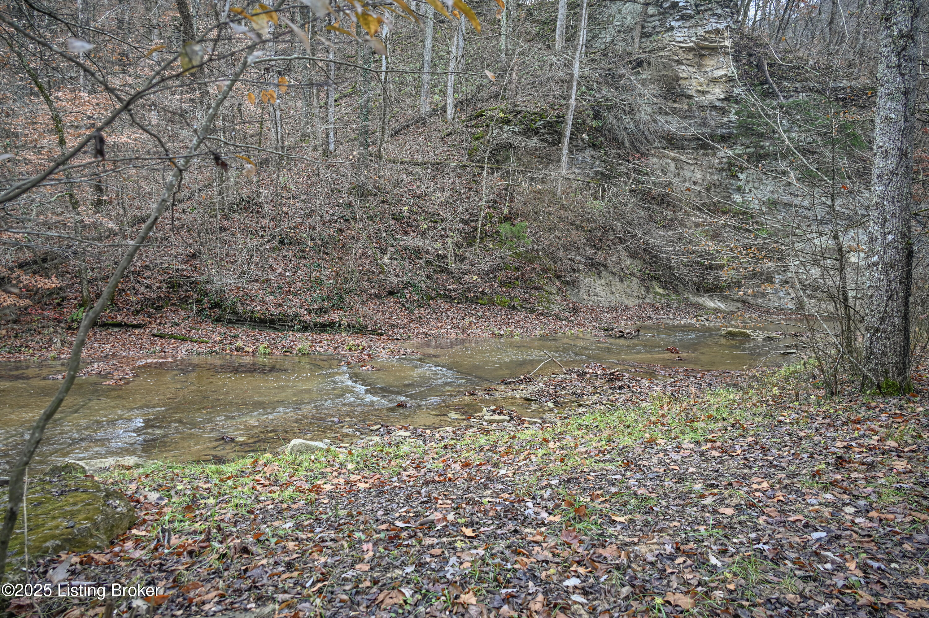3095 Herbert Howell Road Hodgenville, KY 42748 - Photo 61 of 80 35-DSC_0956