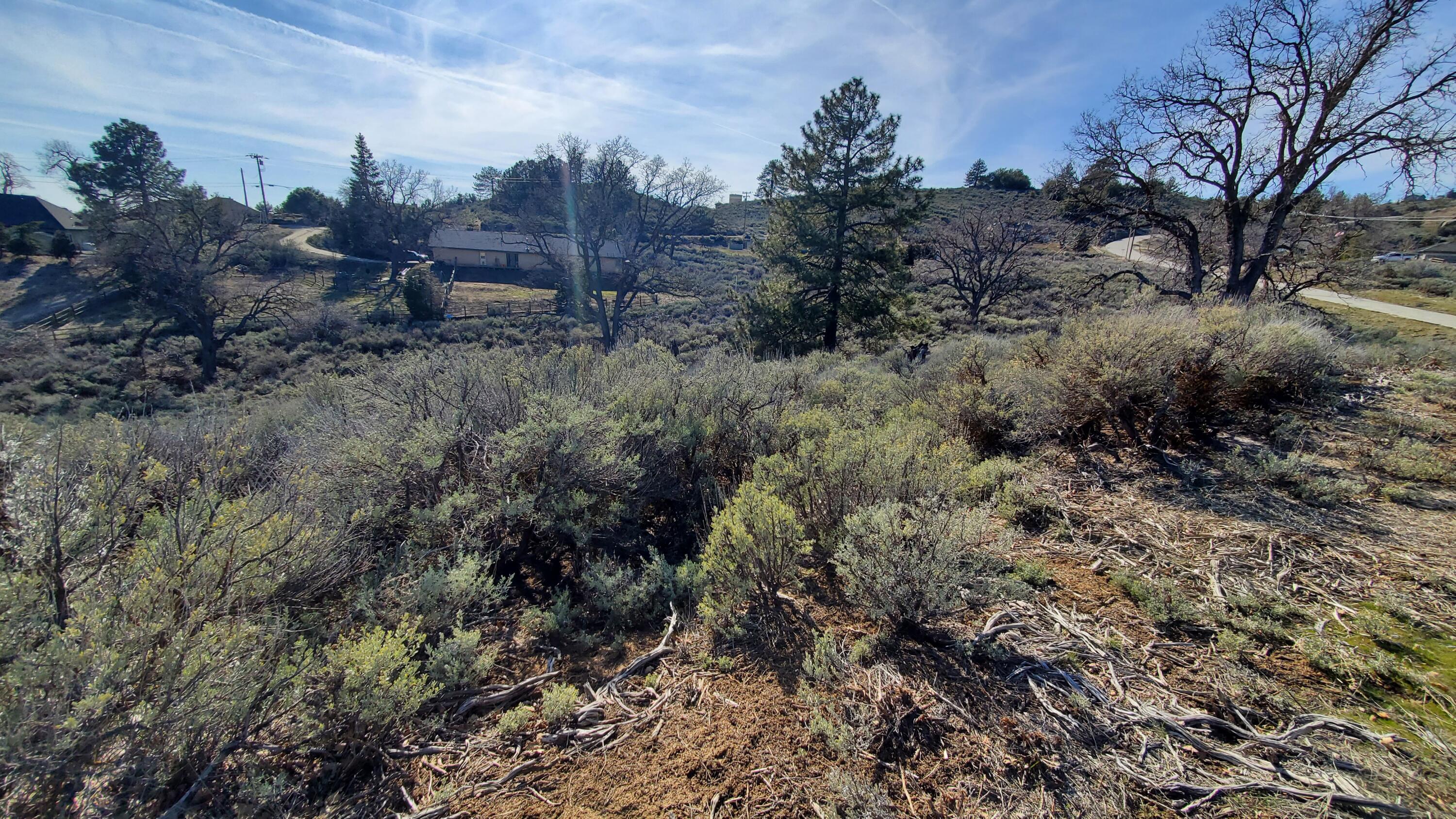 25041 Jacaranda Drive Tehachapi, CA 93561 - Photo 9 of 30 20230405_162051