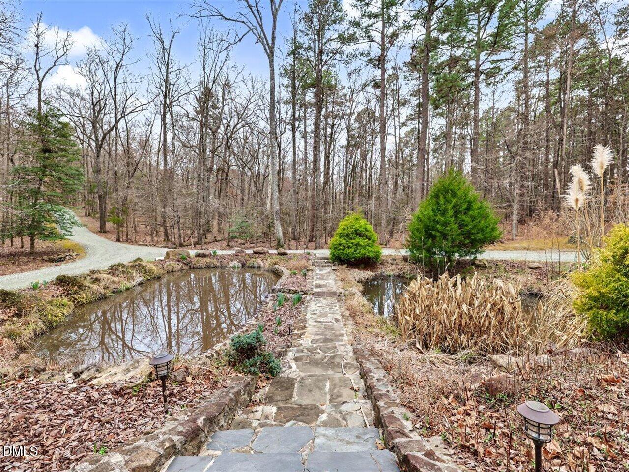 67 Bingham Ridge Drive Pittsboro, NC 27312 - Photo 72 of 92 086-Ponds