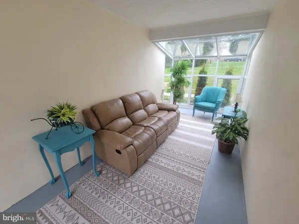 a living room with furniture potted plant and a rug