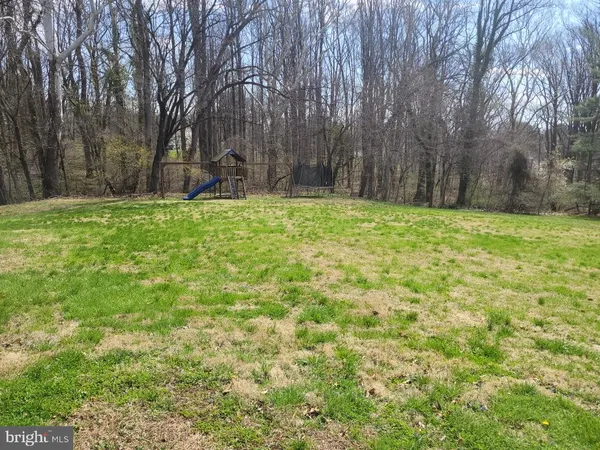 a view of backyard with large tree