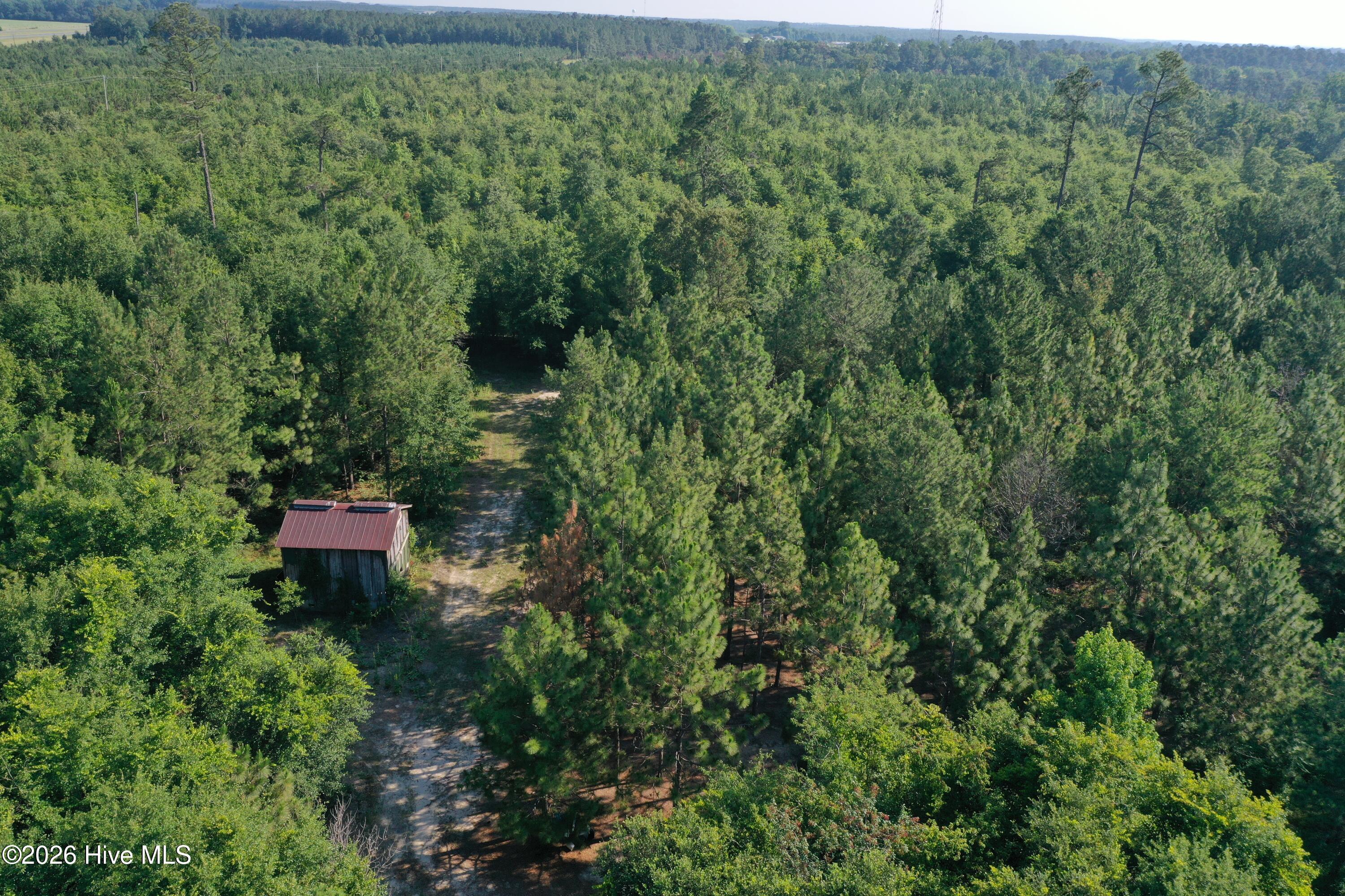 Tbd Jones Spring Church Road Ellerbe, NC 28338 - Photo 24 of 29