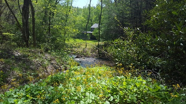 Tbd Ripshin Road, Unit 10 11 Troutdale, VA 24378 - Photo 37 of 43 Gallery Image 37