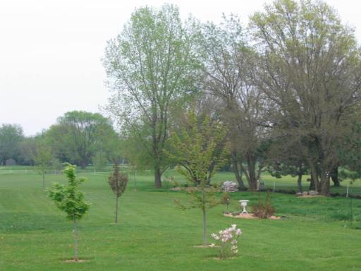 3079 East 1825th Road Ottawa, IL 61350 - Photo 6 of 8 a lush green field with lots of trees