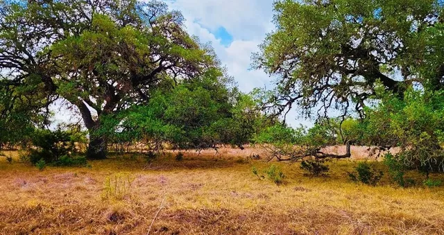 a view of swimming pool with a yard