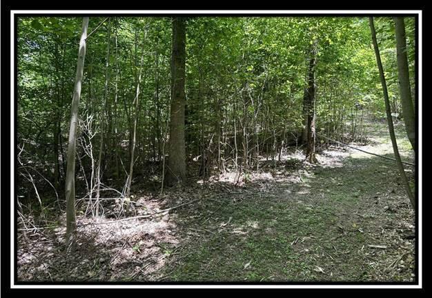 167 Weaver Road, Unit TRACT A) Chillicothe, OH 45601 - Photo 13 of 45 image013