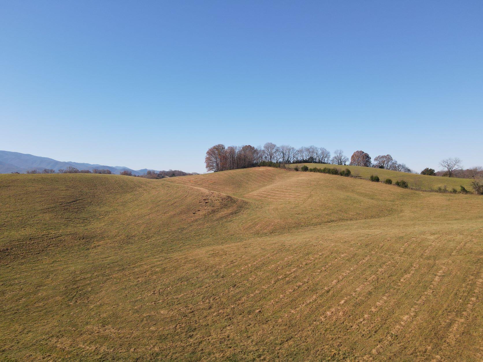5 Laws Road, Unit 5 Limestone, TN 37681 - Photo 4 of 5 DJI_0537