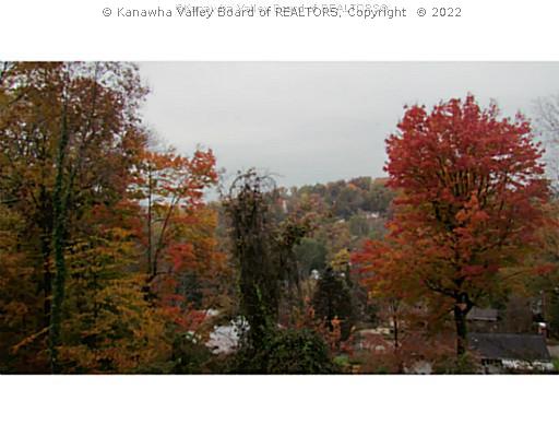 1703 Shadybrook Road Charleston, WV 25314 - Photo 11 of 15 Yard/Garden.