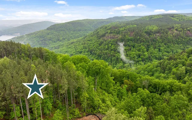 $389,000 | Lot 1060 Birds Eye Way, Guild, TN 37340