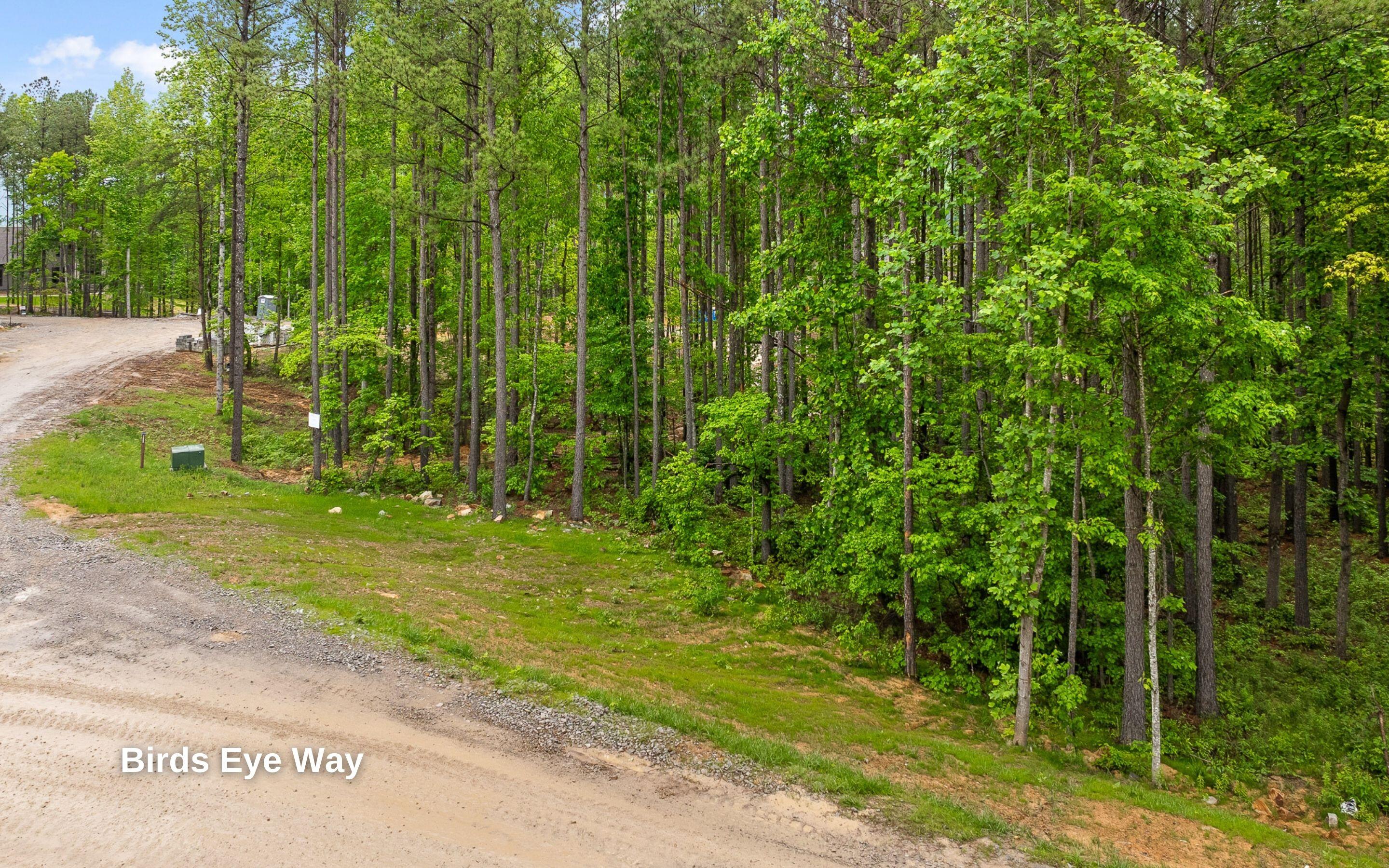 Lot 1060 Birds Eye Way Guild, TN 37340 - Photo 11 of 22 Roadside Frontage