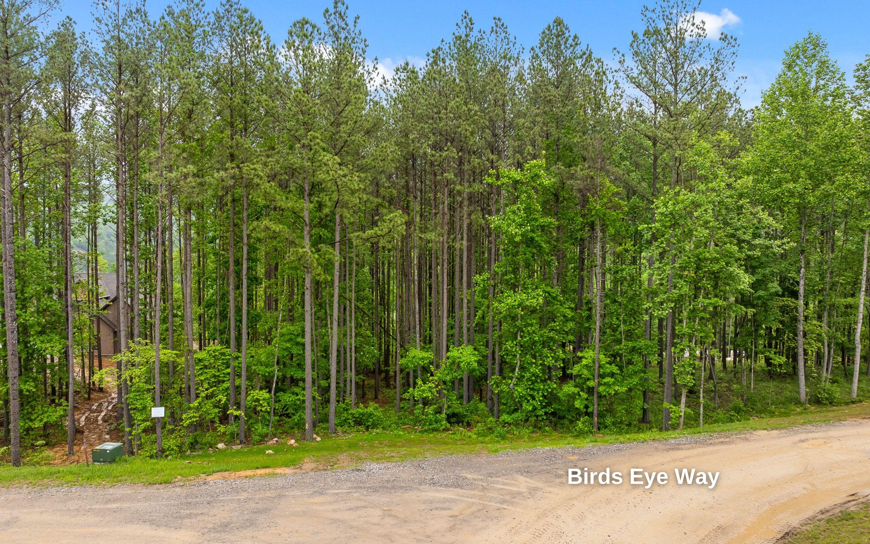 Lot 1060 Birds Eye Way Guild, TN 37340 - Photo 12 of 22 Roadside Frontage