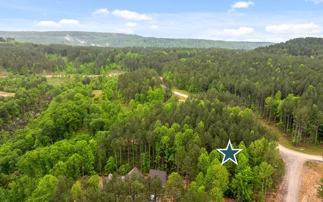 $389,000 | Lot 1060 Birds Eye Way, Guild, TN 37340