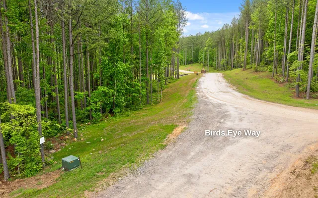 $389,000 | Lot 1060 Birds Eye Way, Guild, TN 37340