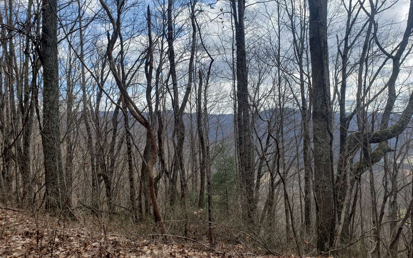 35 Calvender Road Turtletown, TN 37391 - Photo 10 of 14 Additional View