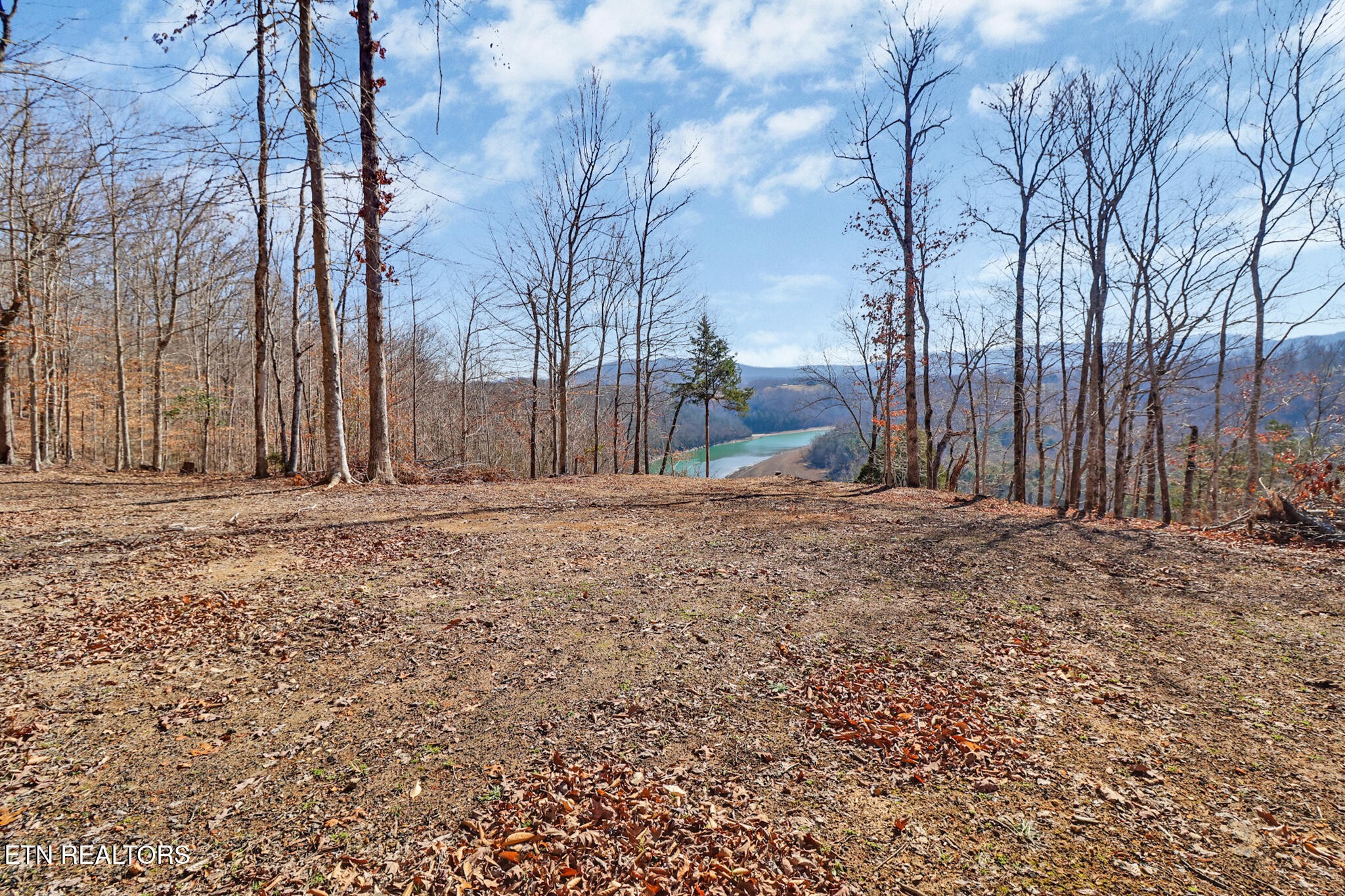5031 Robbinstown Road Byrdstown, TN 38549 - Photo 36 of 60 Gallery Image 36