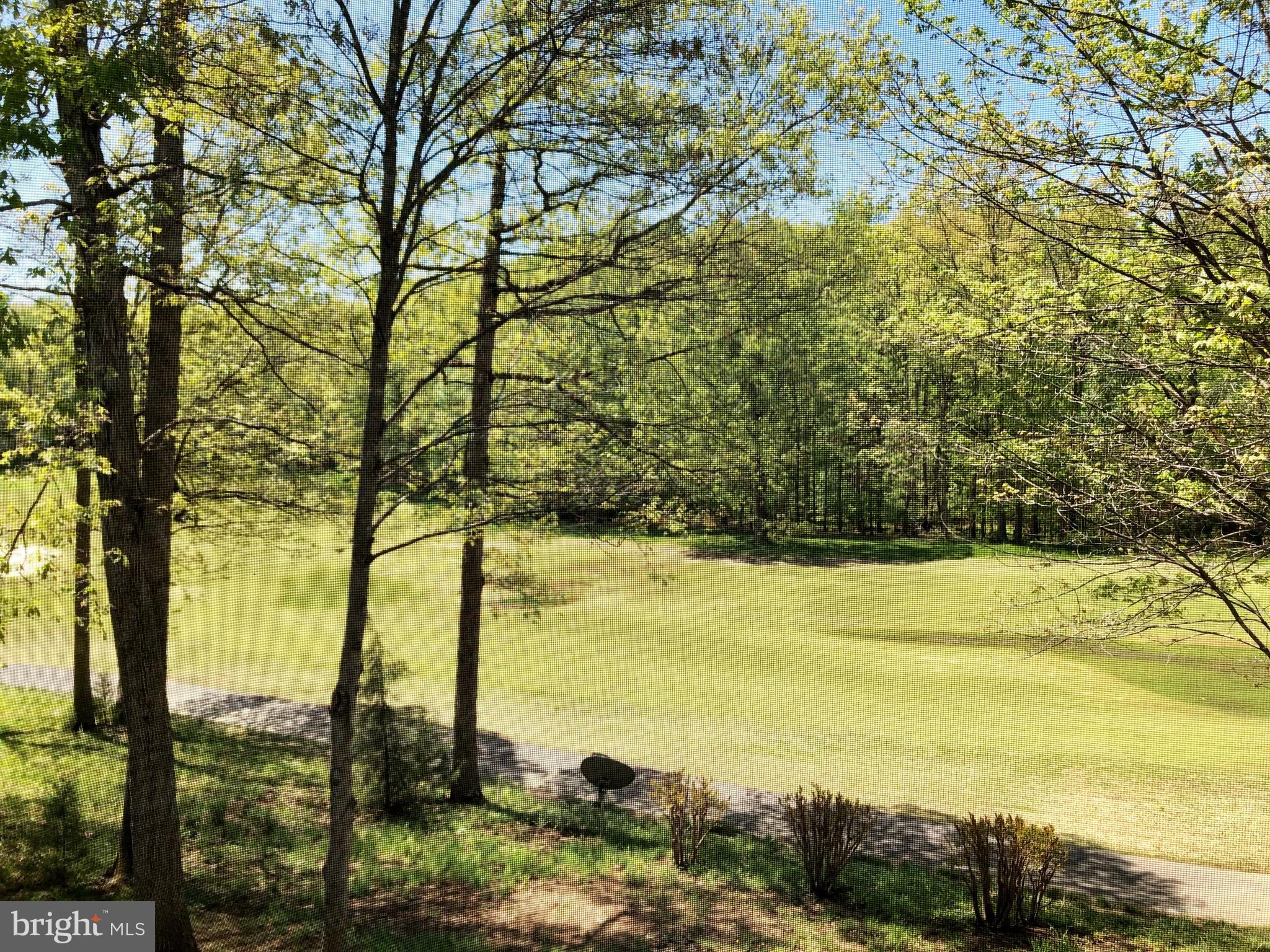 222 Birdie Road Locust Grove, VA 22508 - Photo 26 of 66 Wow! What a View!