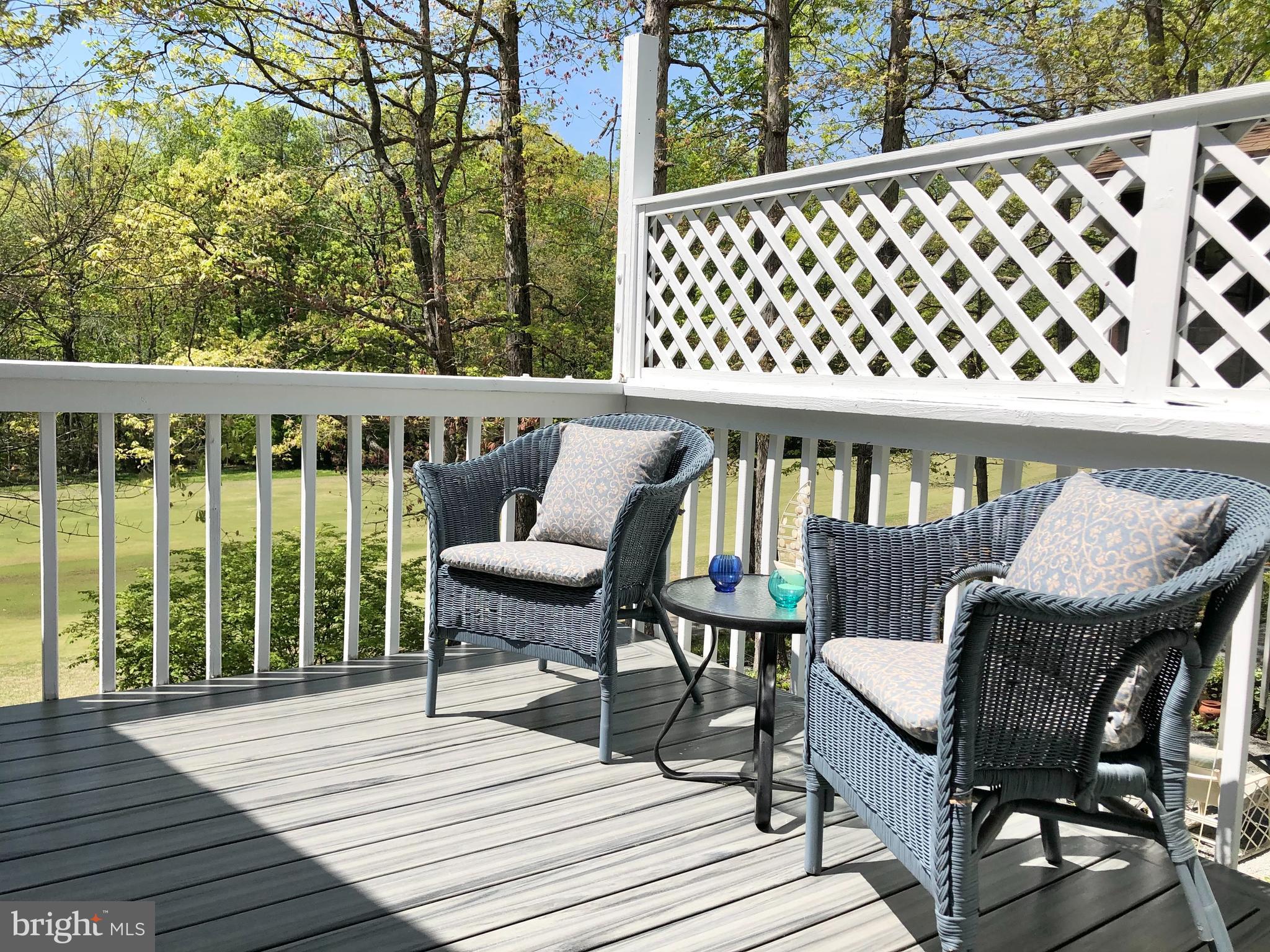 222 Birdie Road Locust Grove, VA 22508 - Photo 28 of 66 Trex Decking!