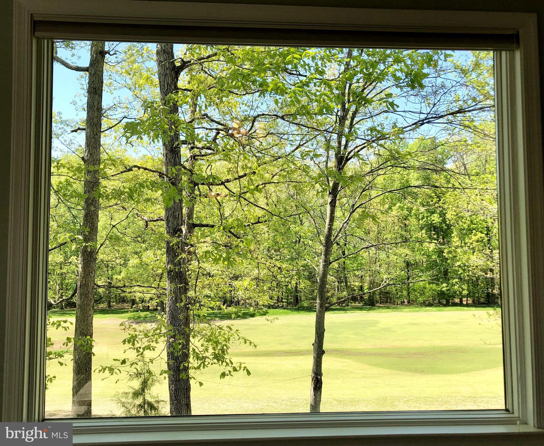 222 Birdie Road Locust Grove, VA 22508 - Photo 35 of 66 Views! View! Views!